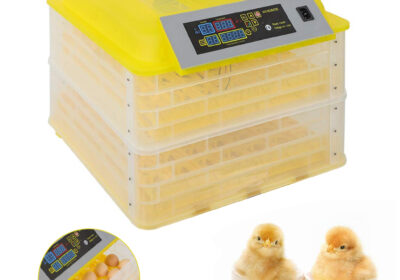 Egg-incubator-112-cnc